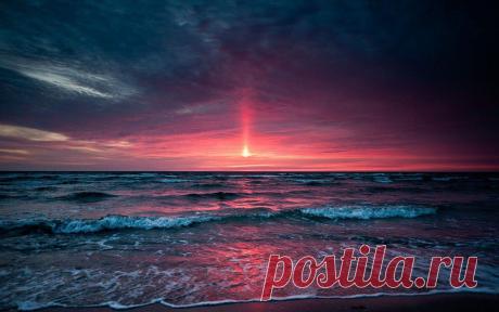 (88) Одноклассники