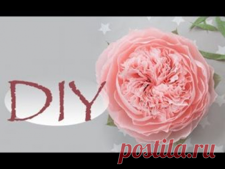Большая пионовидная роза из бумаги DIY Tsvoric