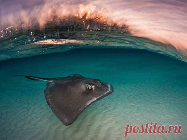 National Geographic: лучшее за апрель 2016