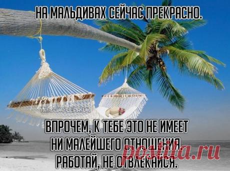 Татьяна Кармишина - Иваново, Ивановская обл., Россия, 39 лет на Мой Мир@Mail.ru