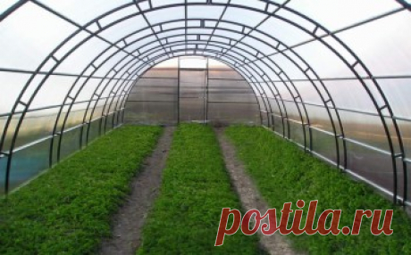 Теплицы купить от производителя с подарком | Теплицы под поликарбонат, под пленку, готовые и на заказ. Большой выбор теплиц. дачные, зимние, фермерские, промышленные