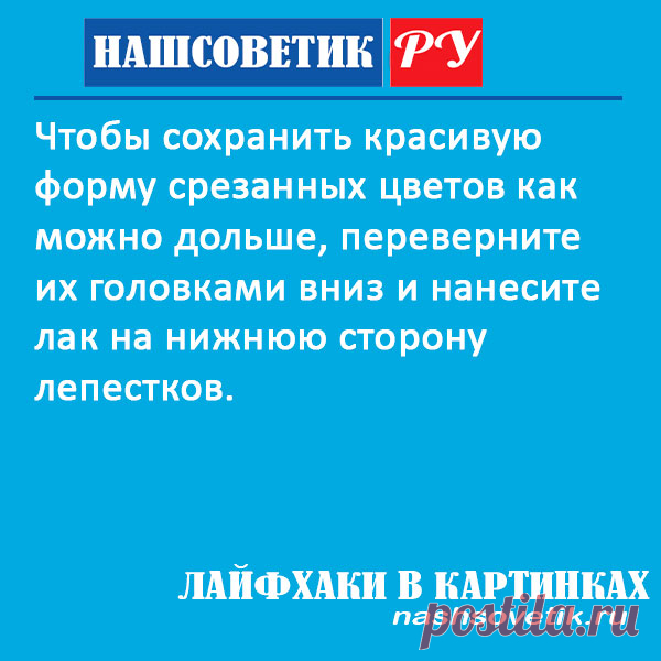 Как дольше сохранить живые цветы? Полезный лайфхак Лайфхаки в картинках