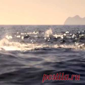 (92) Олег Змеев