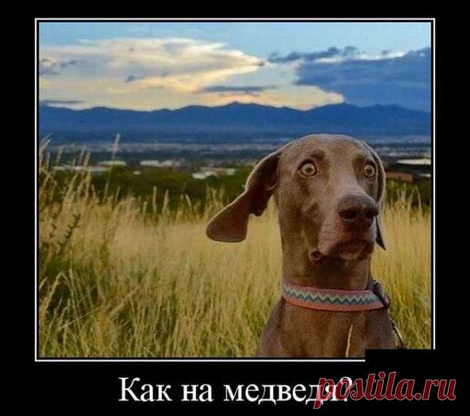 Озадачил