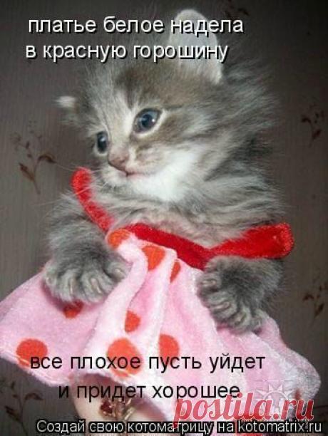 7hv-RK03NVc.jpg (360×479)