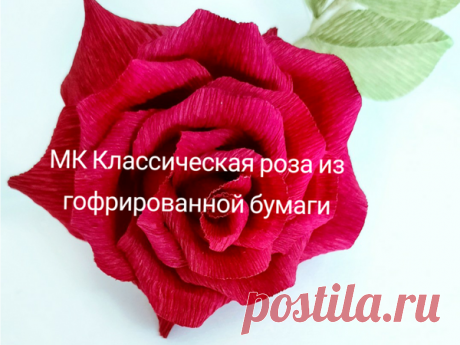 Классическая роза из гофрированной бумаги