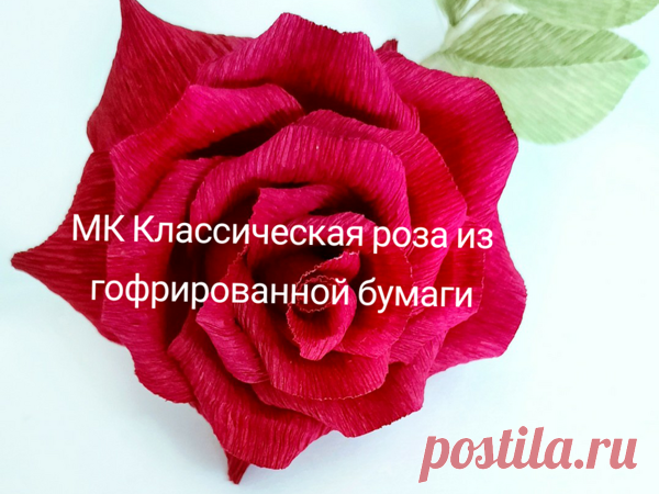 Классическая роза из гофрированной бумаги