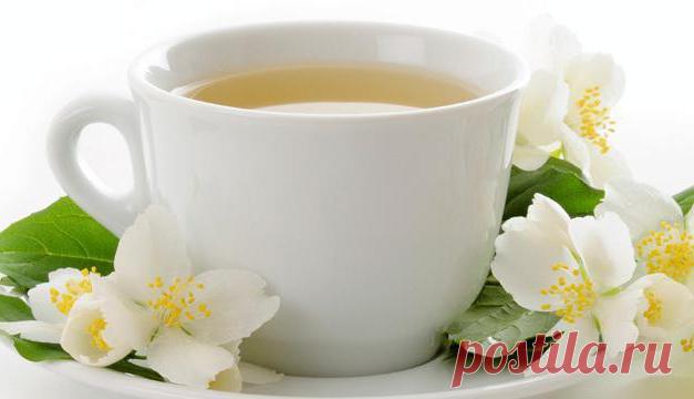 Полезные свойства белого чая