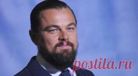 Леонардо Ди Каприо вложился в производство матрасов | Новости | Звезды | Журнал Cosmopolitan