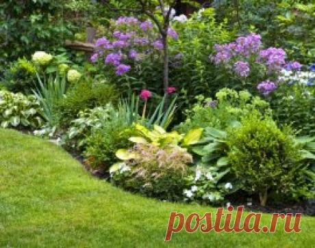 Как красиво разместить хосты на участке