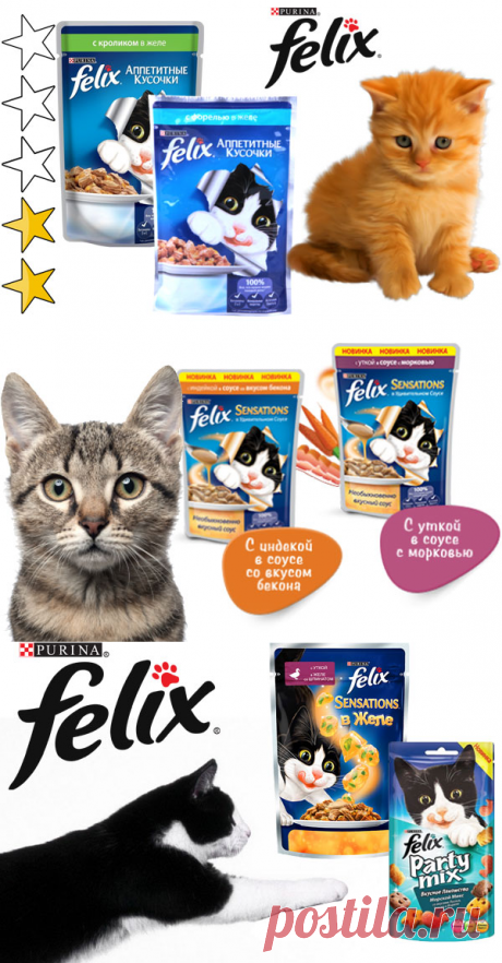 Корм для кошек Феликс (Felix): обзор, виды, состав, отзывы