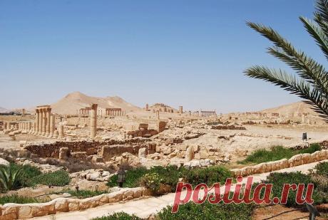Пальмира, Сирия - Путешествуем вместе