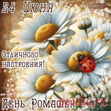 Ромашка на вид открыта и проста,
Однако, хитрой бывает она,
Если ее обижать и мешать,
Ромашка сможет за себя постоять. Открытки на День ромашки!