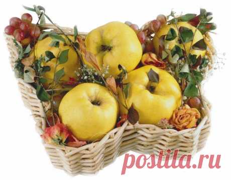 клипарт «дары природы