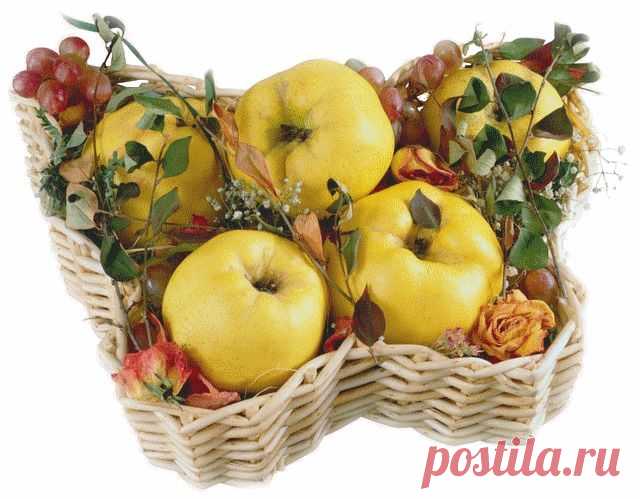 клипарт «дары природы