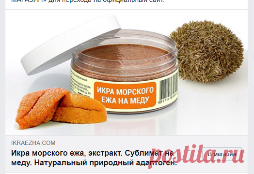 Так размножаются ёжики ))))))
