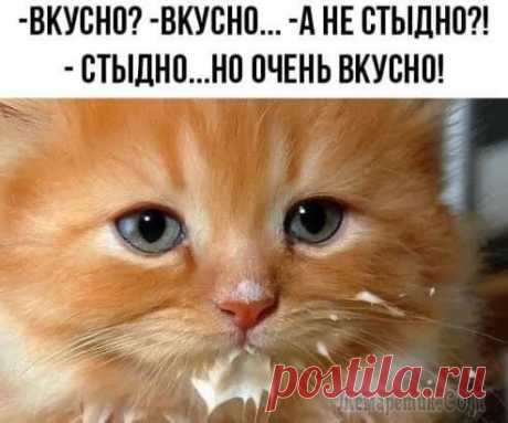 Подборка искрометного юмора с просторов Сети. Смеяться будут все Подборка искрометного юмора с просторов Сети. Смеяться будут все
День за днем мы собираем смешные истории, анекдоты, шуточки и картинки дабы неустанно дарить Вам отличное настроение, положительные эмо...
