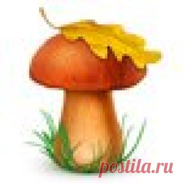 Нежная кабачковая запеканка с фетой и сыром готовится в одной форме и подходит для обеда или ужина.