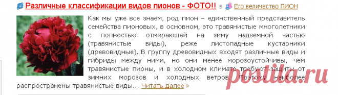 Его величество ПИОН / Сообщества дачников / Асиенда.ру