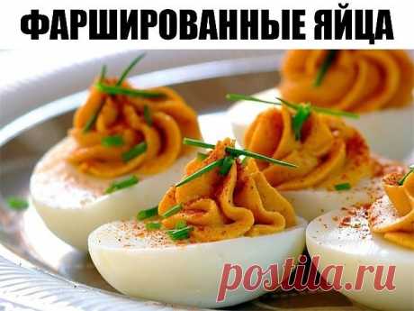 Фаршированные яйца
25 вариантов для начинки:
1. Обжарьте мелко порезанный лук и смешайте с желтком.
2. Твердый сыр с чесноком, майонезом и желтком.
3. Желток с мелко порезанными маслинами или оливками и майонезом.
4. Красная или черная икра. Уже без желтка.
5. Сыр на мелкой терке, грецкие орехи плюс майонез и чеснок. Украсить половинками грецкого ореха.
6. Тунец или сайра с маслинами.
7. Креветки с желтком. Сверху – по целой вареной креветке.
8. Желток, майонез, горчица, с...