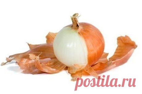 Целебные отвары из луковой шелухи — СОВЕТНИК