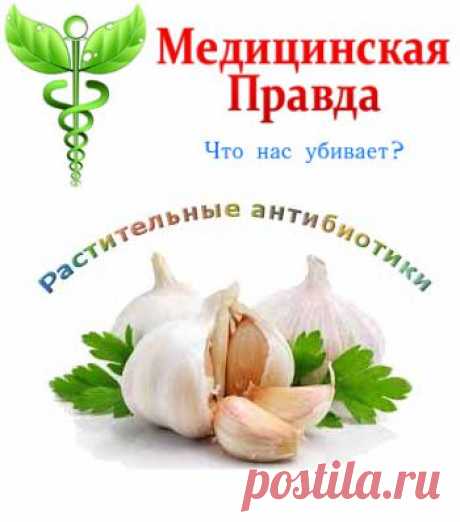 Природные &quot;антибиотики&quot;