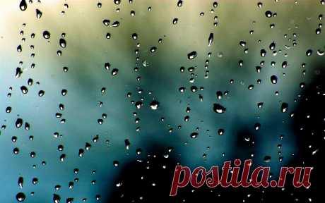 Обои :: природа, дождь, condensation, rain on glass