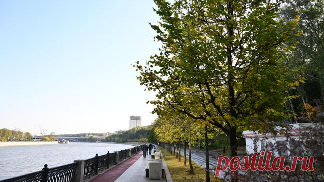 Москвичам рассказали о погоде во вторник