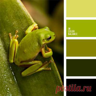 Цветы, деревья — источник вдохновения! | BepHuK собирает друзей