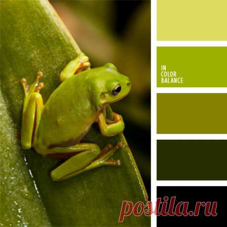 Цветы, деревья — источник вдохновения! | BepHuK собирает друзей