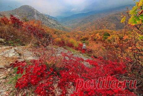 Прекрасный вид на скалу Серт-Кая и гору Сююрю-Кая
#серткая