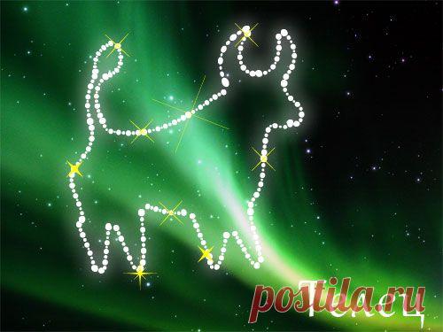 Бесплатный гороскоп на январь 2015. Телец