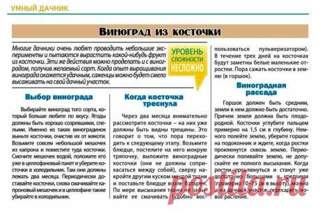 Виноград из косточки