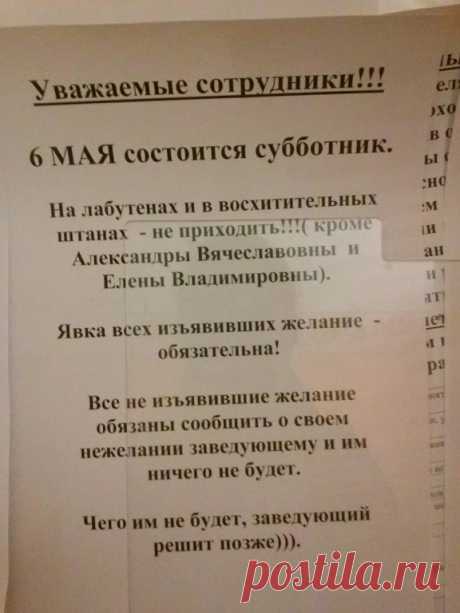 С нами стыдно, зато весело