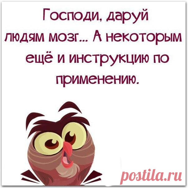 Елена Имаева