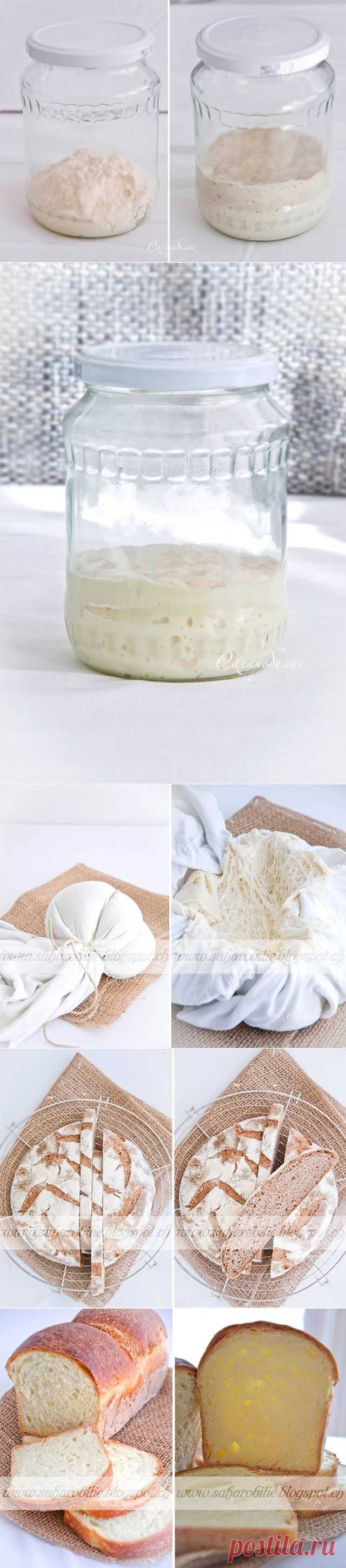 Сахаробилие : Закваска и почти всё о ней.