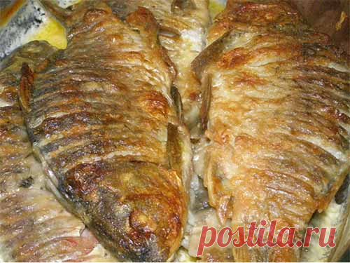Караси, томленные в сметане