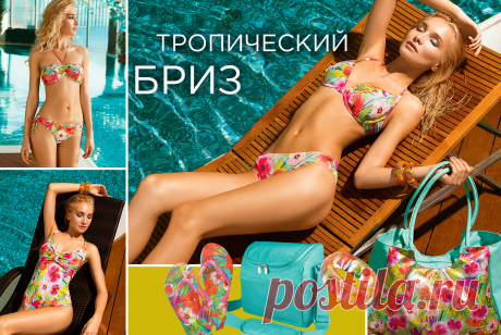 Новинки
