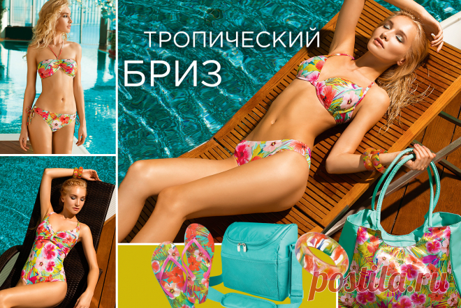 Новинки