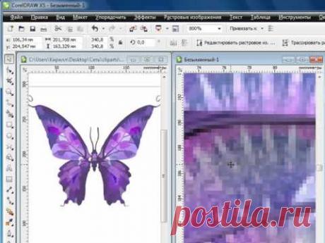 CorelDRAW X5 для начинающих. Векторная графика (1.1) - YouTube