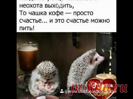 ДОБРОЕ УТРО ЧЕТВЕРГА! Всем улыбок и добра! #доброеутрочетверга​