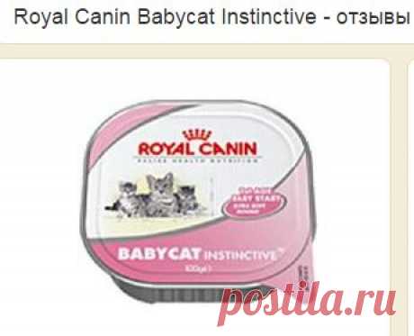 Royal Canin Babycat Instinctive | Отзывы покупателей