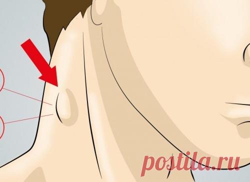 10 простых способов очищения лимфатической системы. Только натуральные средства