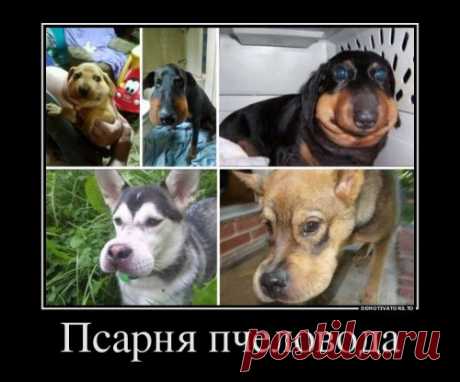 Свежие демотиваторы