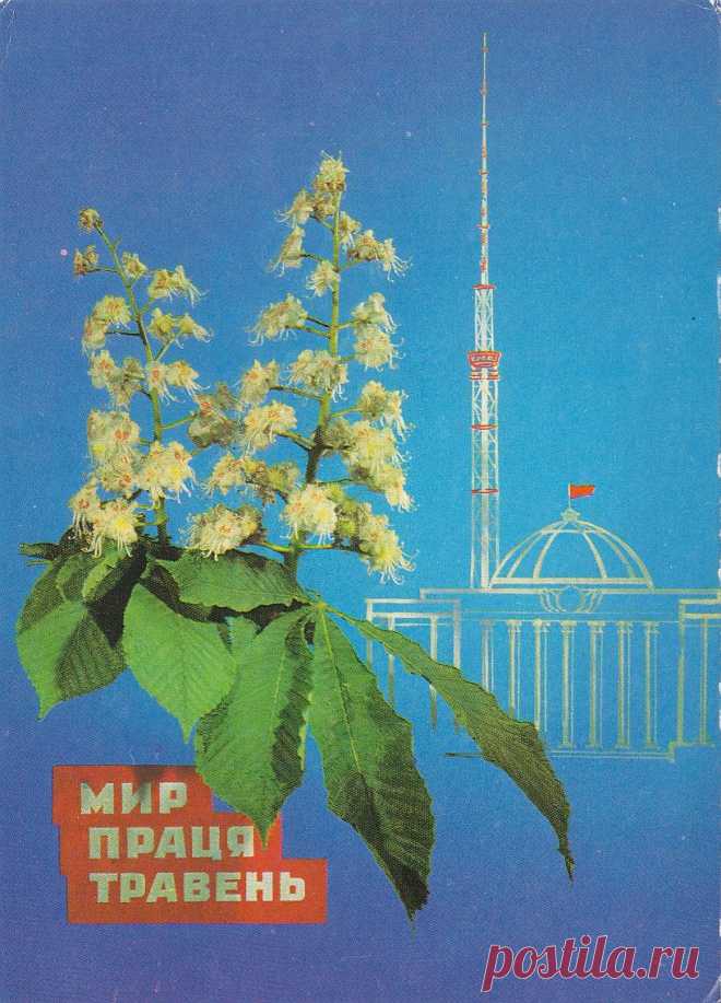 Открытки к 1 мая. photocolumnist — LiveJournal