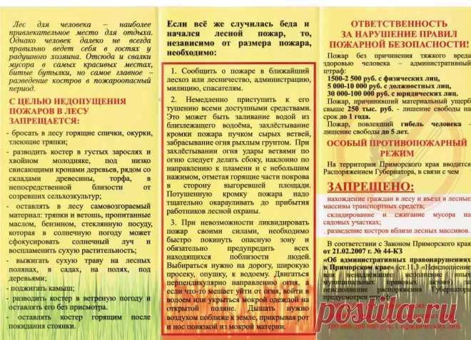 Дачники теперь обязаны обеспечивать пожарную безопасность на лесных участках