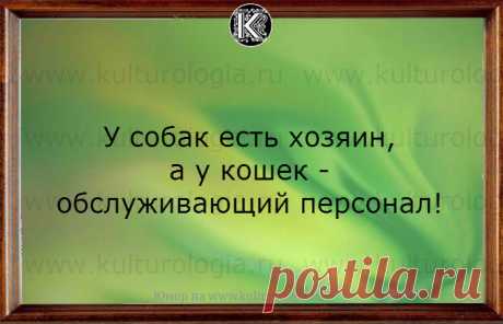 Моя семья. Счастлив тот, кто счастлив у себя дома!