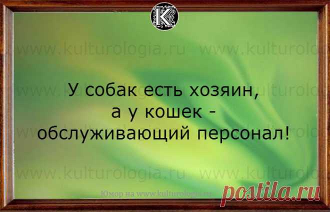 Моя семья. Счастлив тот, кто счастлив у себя дома!
