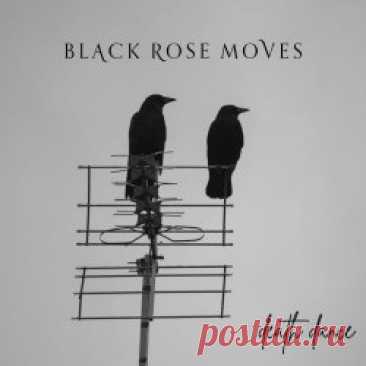 Black Rose Moves - Death Dance (2025) [EP] Artist: Black Rose Moves Album: Death Dance Year: 2025 Country: UK Style: Gothic Rock, Post-Punk
