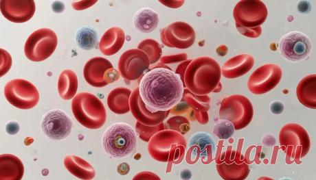 Механизмы гомеостаза: как организм поддерживает постоянство внутренней среды